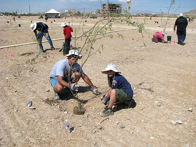 Pack 99 at the Fall Green-up @ the Las Vegas Wash