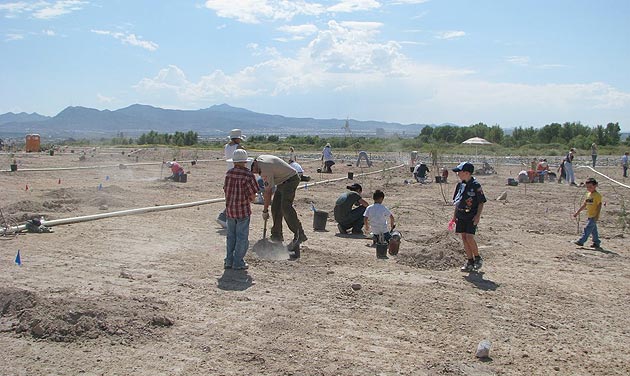 Pack 99 at the Fall Green-up @ the Las Vegas Wash